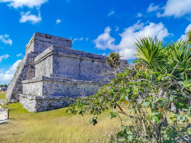 Antik Tulum, Tulum Meksika 'daki tropikal doğal orman palmiyesi ve deniz manzarasında tapınak kalıntıları ve eserlerle Maya bölgesini harabeye çeviriyor..