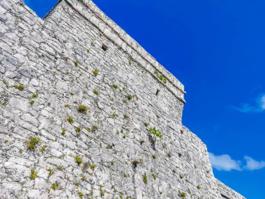 Antik Tulum, Tulum Meksika 'daki tropikal doğal orman palmiyesi ve deniz manzarasında tapınak kalıntıları ve eserlerle Maya bölgesini harabeye çeviriyor..