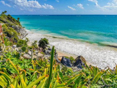 Antik Tulum, Tulum Meksika 'daki tropikal doğal orman palmiyesi ve deniz manzarasında tapınak kalıntıları ve eserlerle Maya bölgesini harabeye çeviriyor..