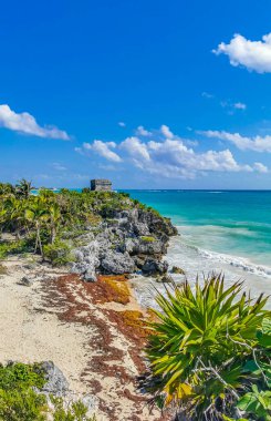 Antik Tulum, Tulum Meksika 'daki tropikal doğal orman palmiyesi ve deniz manzarasında tapınak kalıntıları ve eserlerle Maya bölgesini harabeye çeviriyor..