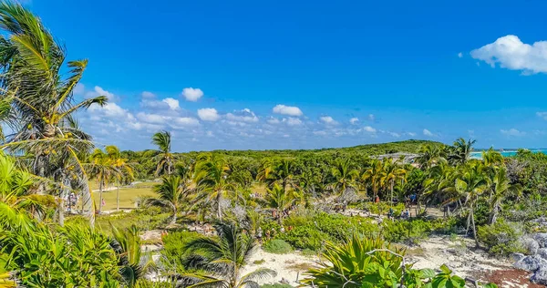 Antiche Rovine Tulum Sito Maya Con Rovine Templi Piramidi Manufatti — Foto Stock