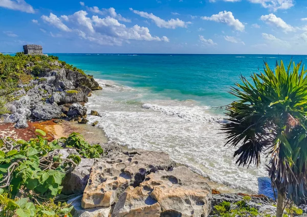 Antik Tulum Tulum Meksika Daki Tropikal Doğal Orman Palmiyesi Deniz — Stok fotoğraf