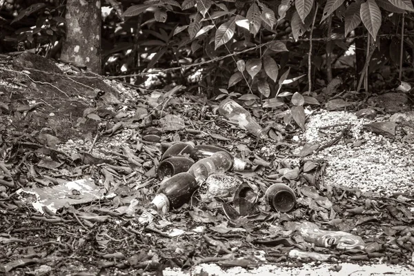 Black and white picture Trash waste garbage bottles in the tropical mexican jungle natural forest panorama view in Puerto Aventuras Quintana Roo Mexico.