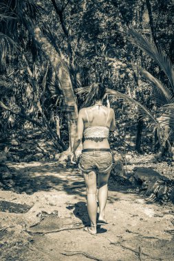 Tropikal ormanlarda yürüyen güzel bir kadının eski siyah beyaz resmi. Palmiye ağaçları diker ve Quintana Roo Mexico 'daki Santuario de los gereros' da ahşap yürüyüş yolları açar..