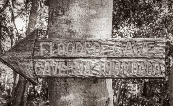 Muyil Mexico 04. February 2022 Old black and white picture Information entrance walking trails and welcome sing board with arrow to Santuario de los guerreros in Puerto Aventuras Quintana Roo Mexico.