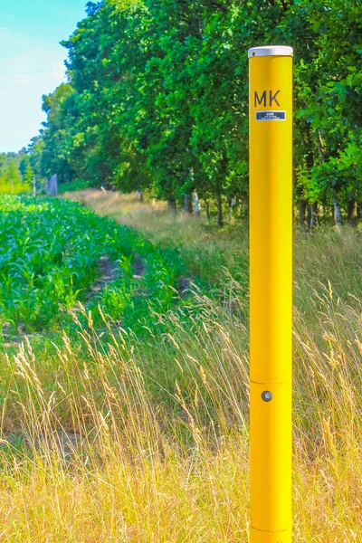 Campo Agrícola Del Norte Alemania Bosque Paisaje Natural Panorama Hemmoor —  Fotos de Stock