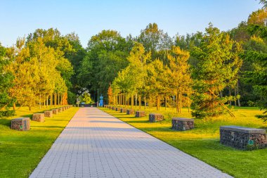 Lehe Bremerhaven Almanya 'sındaki Speckenbuetteler Park ormanındaki patika ve yeşil bitkilerle doğal güzel manzara..