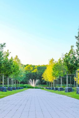 Lehe Bremerhaven Almanya 'sındaki Speckenbuetteler Park ormanındaki patika ve yeşil bitkilerle doğal güzel manzara..