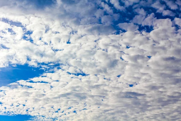 Céu Azul Com Nuvens Brancas Bela Paisagem Nublada Árvores Fundo — Fotografia de Stock