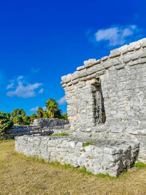 Antik Tulum, Tulum Meksika 'daki tropikal doğal orman palmiyesi ve deniz manzarasında tapınak kalıntıları ve eserlerle Maya bölgesini harabeye çeviriyor..