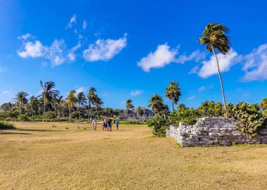 Tulum Meksika 24. Şubat 2022 Antik Tulum, Tulum Meksika 'da tropikal doğal orman palmiyesi ve deniz manzarası üzerindeki kalıntılar ve tapınak kalıntıları ile Maya bölgesini harap etti..