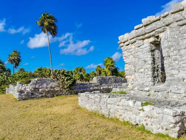 Antik Tulum, Tulum Meksika 'daki tropikal doğal orman palmiyesi ve deniz manzarasında tapınak kalıntıları ve eserlerle Maya bölgesini harabeye çeviriyor..