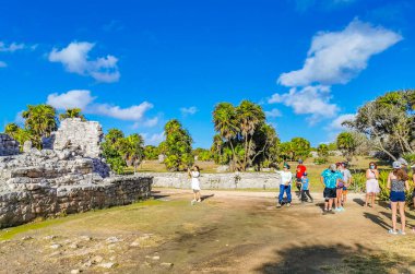 Tulum Meksika 24. Şubat 2022 Antik Tulum, Tulum Meksika 'da tropikal doğal orman palmiyesi ve deniz manzarası üzerindeki kalıntılar ve tapınak kalıntıları ile Maya bölgesini harap etti..