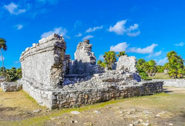 Antik Tulum, Tulum Meksika 'daki tropikal doğal orman palmiyesi ve deniz manzarasında tapınak kalıntıları ve eserlerle Maya bölgesini harabeye çeviriyor..