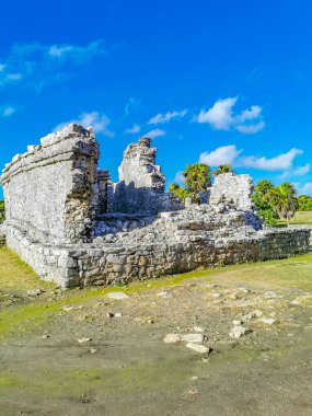Antik Tulum, Tulum Meksika 'daki tropikal doğal orman palmiyesi ve deniz manzarasında tapınak kalıntıları ve eserlerle Maya bölgesini harabeye çeviriyor..