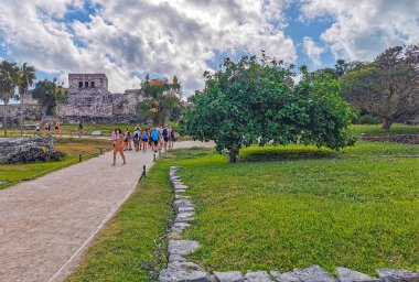 Tulum Meksika 24. Şubat 2022 Antik Tulum, Tulum Meksika 'da tropikal doğal orman palmiyesi ve deniz manzarası üzerindeki kalıntılar ve tapınak kalıntıları ile Maya bölgesini harap etti..