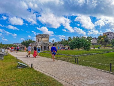 Tulum Meksika 24. Şubat 2022 Antik Tulum, Tulum Meksika 'da tropikal doğal orman palmiyesi ve deniz manzarası üzerindeki kalıntılar ve tapınak kalıntıları ile Maya bölgesini harap etti..