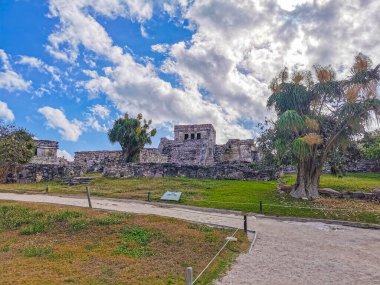 Tulum Meksika 24. Şubat 2022 Antik Tulum, Tulum Meksika 'da tropikal doğal orman palmiyesi ve deniz manzarası üzerindeki kalıntılar ve tapınak kalıntıları ile Maya bölgesini harap etti..