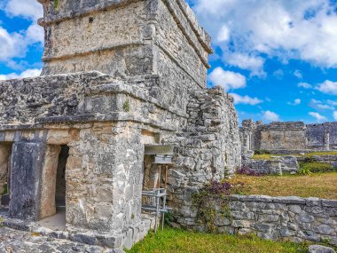 Antik Tulum, Tulum Meksika 'daki tropikal doğal orman palmiyesi ve deniz manzarasında tapınak kalıntıları ve eserlerle Maya bölgesini harabeye çeviriyor..