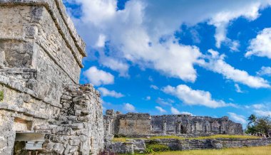 Antik Tulum, Tulum Meksika 'daki tropikal doğal orman palmiyesi ve deniz manzarasında tapınak kalıntıları ve eserlerle Maya bölgesini harabeye çeviriyor..