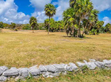 Antik Tulum, Tulum Meksika 'daki tropikal doğal orman palmiyesi ve deniz manzarasında tapınak kalıntıları ve eserlerle Maya bölgesini harabeye çeviriyor..
