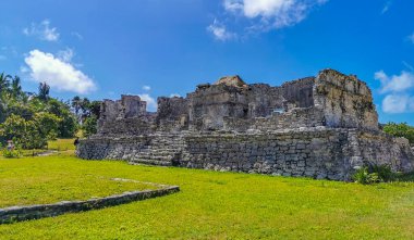 Antik Tulum, Tulum Meksika 'daki tropikal doğal orman palmiyesi ve deniz manzarasında tapınak kalıntıları ve eserlerle Maya bölgesini harabeye çeviriyor..