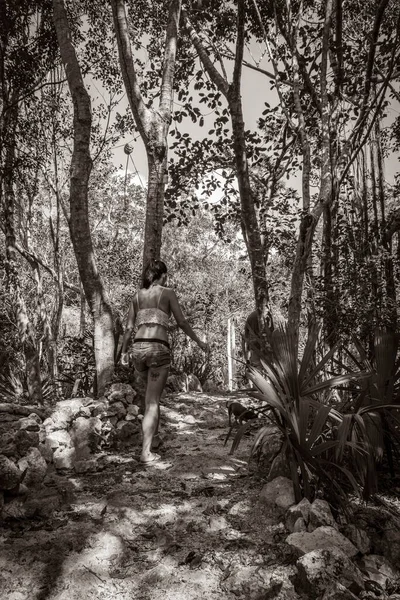 Old black and white picture of Beautiful pretty woman walks in the tropical jungle forest plants palm trees and wooden walking trails and bridge at Santuario de los guerreros in Quintana Roo Mexico.