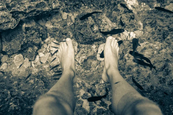 Old black and white picture of Fish spa pedicure fish bite feet in the amazing blue turquoise water and limestone cave sinkhole cenote Tajma ha Tajmaha in Puerto Aventuras Quintana Roo Mexico.