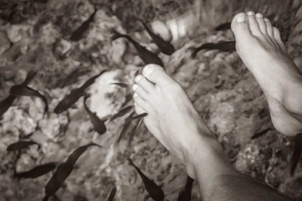 Old black and white picture of Fish spa pedicure fish bite feet in the amazing blue turquoise water and limestone cave sinkhole cenote Tajma ha Tajmaha in Puerto Aventuras Quintana Roo Mexico.