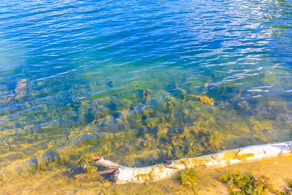 德国下萨克森州埃格斯特特 施瓦内韦德奥斯特霍尔茨美丽的采石场湖中碧绿碧绿的碧绿碧水 — 图库照片