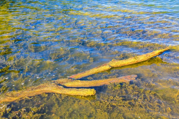 Eau Turquoise Bleue Verte Magnifique Lac Dragage Carrière Lac Étang — Photo