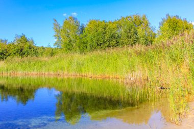 Güzel taş ocağı gölü tarama gölü mavi turkuvaz su gökyüzü ve manzara doğa ormanı manzarası Eggestedt Schwanewede Osterholz Aşağı Saksonya Almanya 'sı.