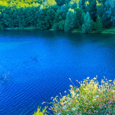 Güzel taş ocağı gölü tarama gölü mavi turkuvaz su gökyüzü ve manzara doğa ormanı manzarası Eggestedt Schwanewede Osterholz Aşağı Saksonya Almanya 'sı.