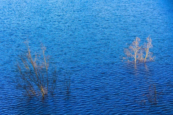 Água Azul Turquesa Verde Bela Lagoa Dragagem Lago Pedreira Eggestedt — Fotografia de Stock