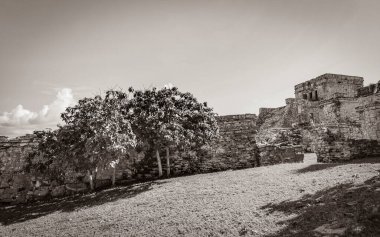 Antik Tulum 'un eski siyah beyaz resmi, Tulum Meksika' nın tropikal doğal orman palmiyeleri deniz manzarasındaki tapınak kalıntıları ve eserleriyle Maya bölgesini harabeye çeviriyor..