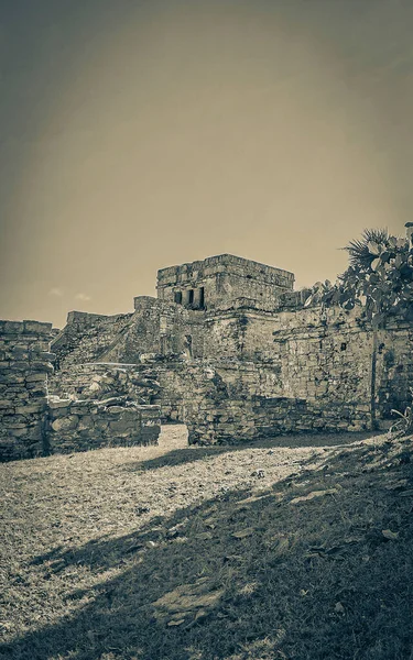 Старая Черно Белая Картина Древнего Тулума Рушит Место Майя Храмовыми — стоковое фото