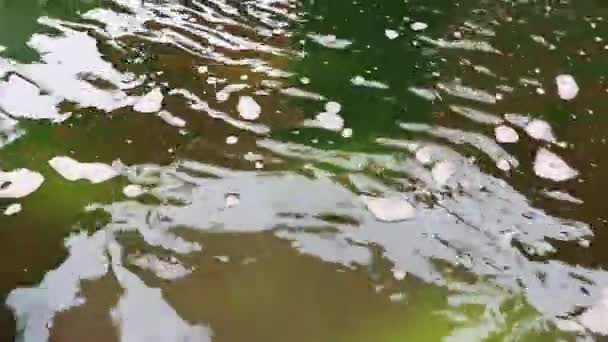 Green Water Fountain Fountain Koh Samui Island Surat Thani Thailand — Vídeos de Stock