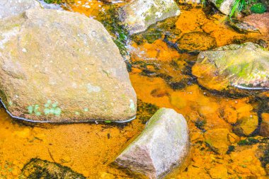 Wernigerode Aşağı Saksonya Almanya 'sında Ulusal Park Harz' daki Brocken Dağı üzerindeki küçük şelale nehri ve akarsu manzarası manzarası.