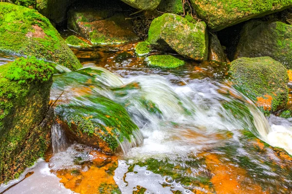 Small Waterfall River Stream Landscape Panorama Brocken Mountain National Park — Stock fotografie
