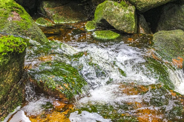 Мала Річкова Річкова Ландшафтна Панорама Брокенській Горі Національному Парку Гарц — стокове фото