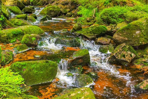 Small Waterfall River Stream Landscape Panorama Brocken Mountain National Park — Zdjęcie stockowe