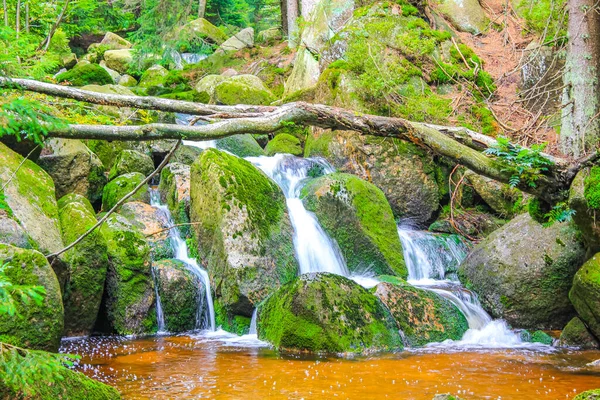 Small Waterfall River Stream Landscape Panorama Brocken Mountain National Park — Foto de Stock