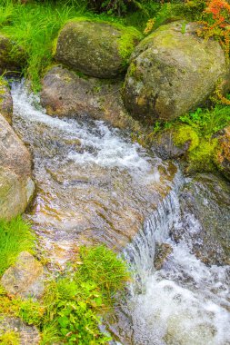 Wernigerode Aşağı Saksonya Almanya 'sında Ulusal Park Harz' daki Brocken Dağı üzerindeki küçük şelale nehri ve akarsu manzarası manzarası.