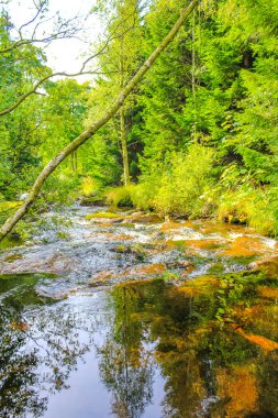 Wernigerode Aşağı Saksonya Almanya 'sında Ulusal Park Harz' daki Brocken Dağı üzerindeki küçük şelale nehri ve akarsu manzarası manzarası.