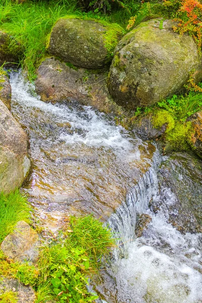 Small Waterfall River Stream Landscape Panorama Brocken Mountain National Park — 图库照片