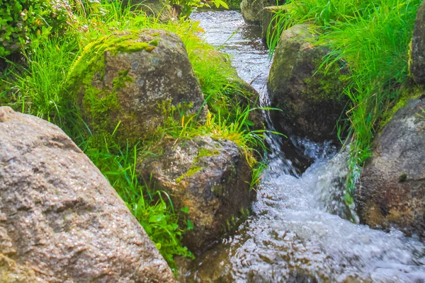 Small Waterfall River Stream Landscape Panorama Brocken Mountain National Park — Stockfoto