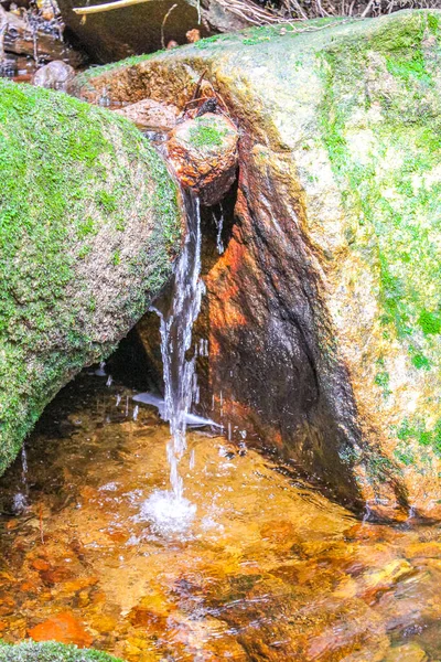 Small Waterfall River Stream Landscape Panorama Brocken Mountain National Park — Stockfoto