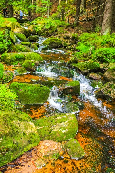 Small Waterfall River Stream Landscape Panorama Brocken Mountain National Park — Foto de Stock