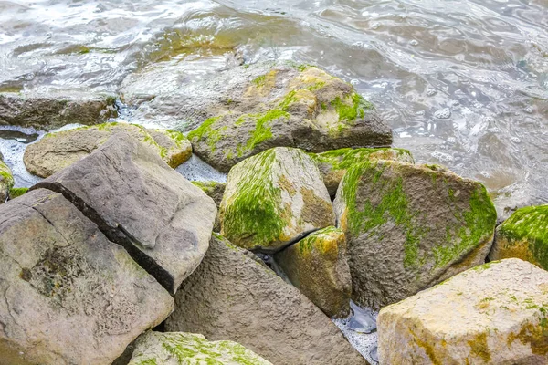 Beautiful Wadden Sea Tidelands Coast Beach Water Stones Rocks Boulders — Stock fotografie