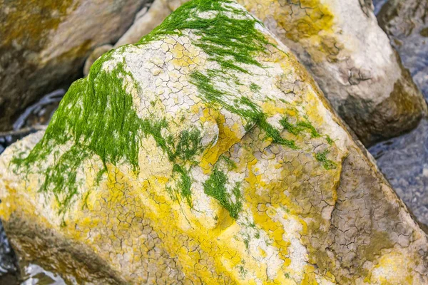 Beautiful Wadden Sea Tidelands Coast Beach Water Stones Rocks Boulders — Foto Stock